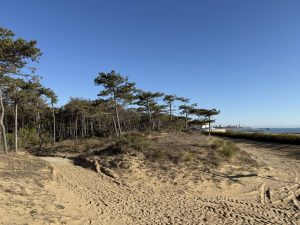 Le Dune di Lignano Sabbiadoro (3)